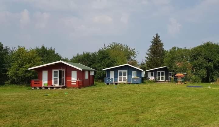 Kiszkowianka Domki Skrzeszewo  Exteriör bild