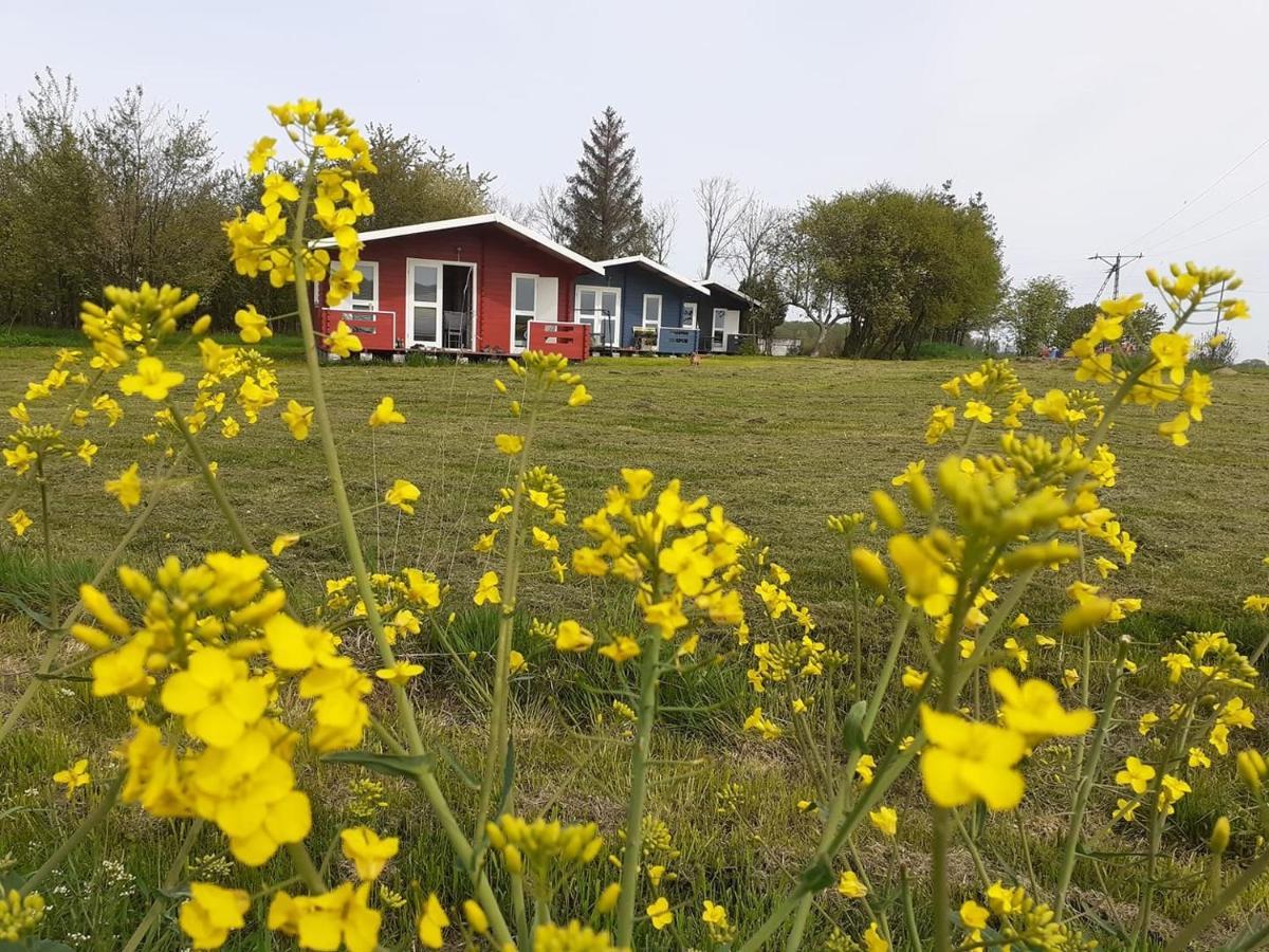 Kiszkowianka Domki Skrzeszewo  Exteriör bild