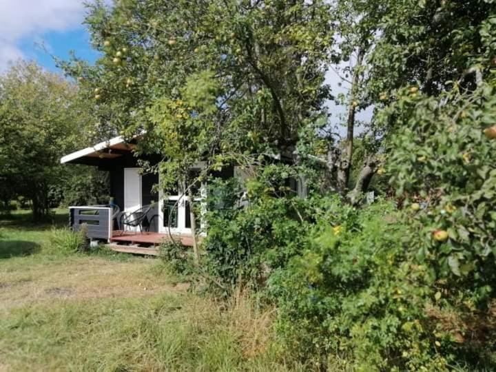 Kiszkowianka Domki Skrzeszewo  Exteriör bild